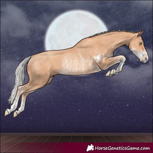 Horse Color:Silver Classic Champagne Sabino Rabicano 