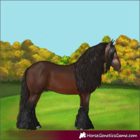 Horse Color:Gray Bay