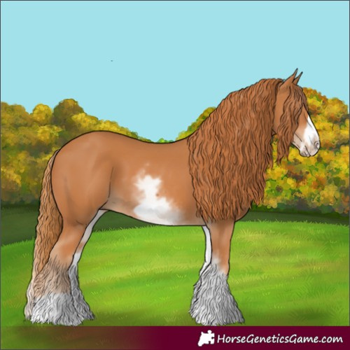 Horse Color:White Spotted Chestnut Frame 