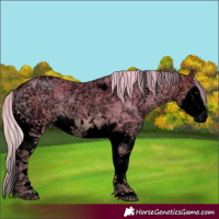 Horse Color:Void Watercolor Plaid  White Spotted Silver Bay Ice Splash Tobiano 