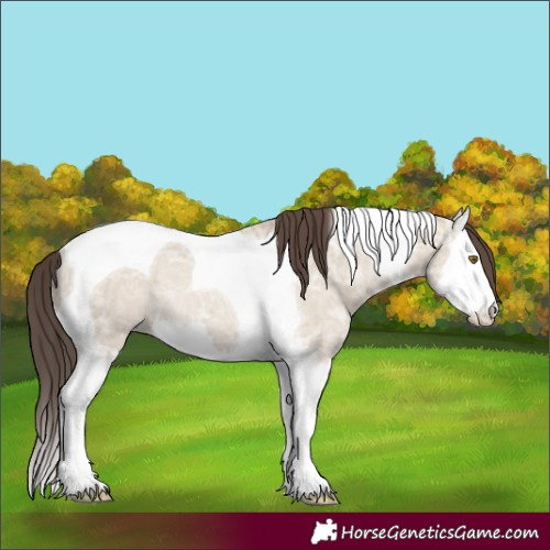 Horse Color:Classic Champagne Ice Dun Splash Tobiano Rabicano 