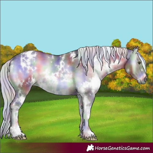 Horse Color:Nacre White Spotted Chocolate Silver Blue Onyx Chinchilla 
