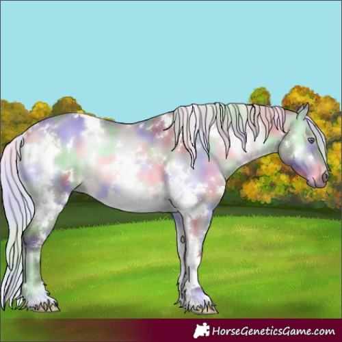 Horse Color:Nacre White Spotted Chocolate Silver Bay Chinchilla Onyx 