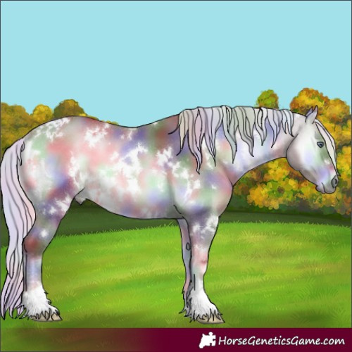 Horse Color:Nacre White Spotted Chocolate Silver Brown Chinchilla Onyx 