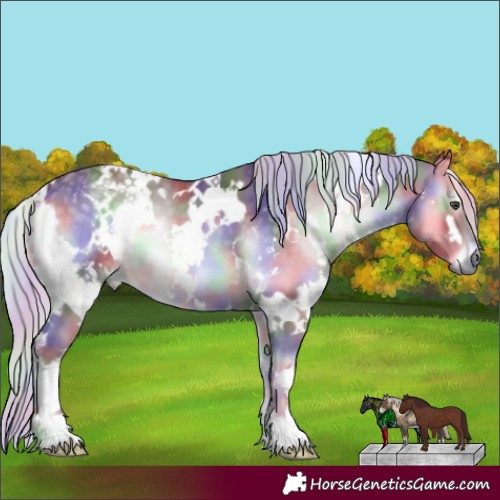 Horse Color:Nacre White Spotted Chocolate Silver Blue Onyx Chinchilla 