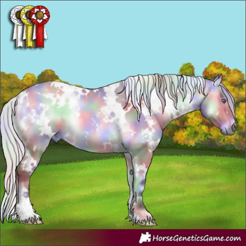 Horse Color:Nacre White Spotted Chocolate Silver Bay Chinchilla Onyx 