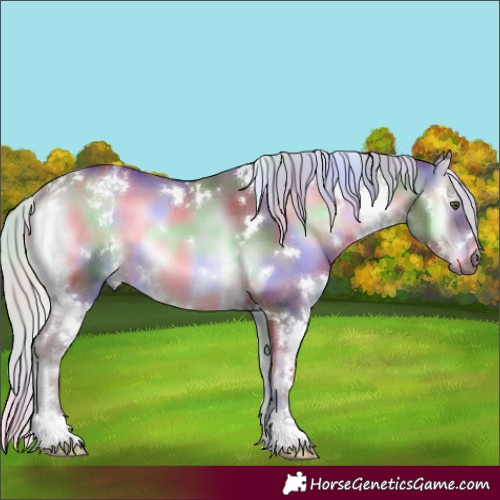 Horse Color:Nacre White Spotted Chocolate Silver Blue Onyx Chinchilla 