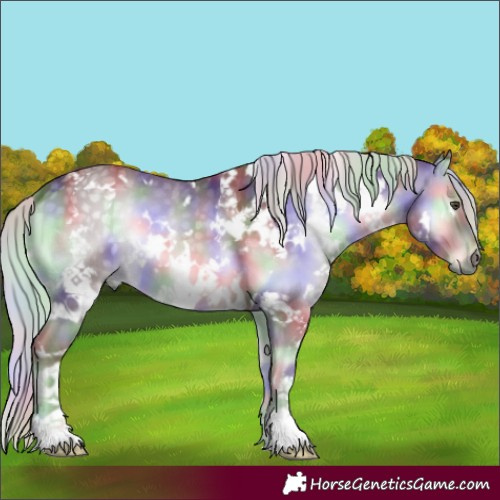 Horse Color:Nacre White Spotted Chocolate Silver Blue Onyx Chinchilla 