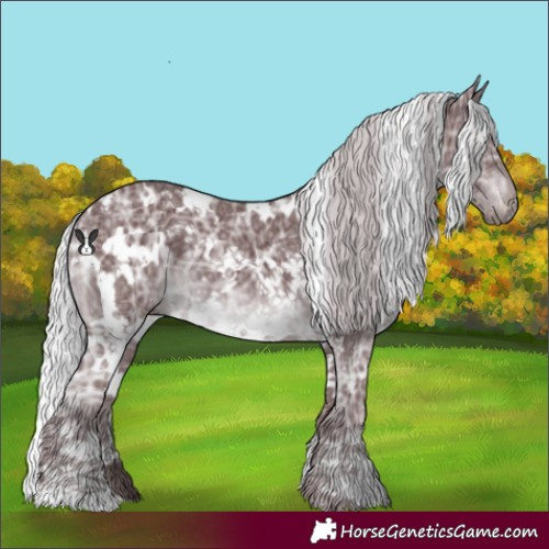 Horse Color:White Spotted Chocolate Silver Black Chinchilla Ice 