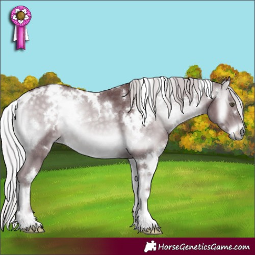 Horse Color:White Spotted Chocolate Silver Blue Onyx Chinchilla 