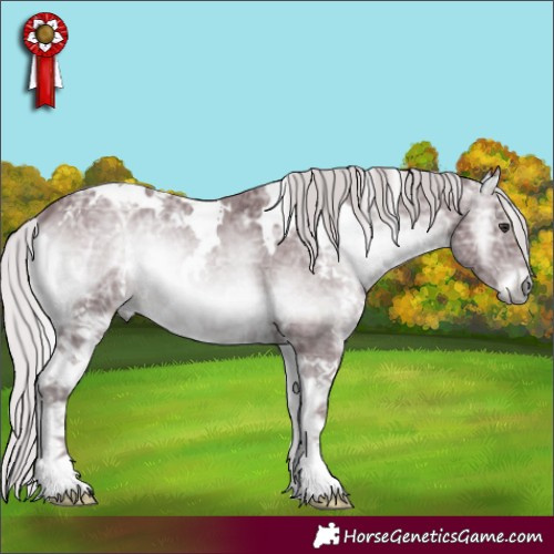 Horse Color:White Spotted Chocolate Silver Blue Onyx Chinchilla Ice 