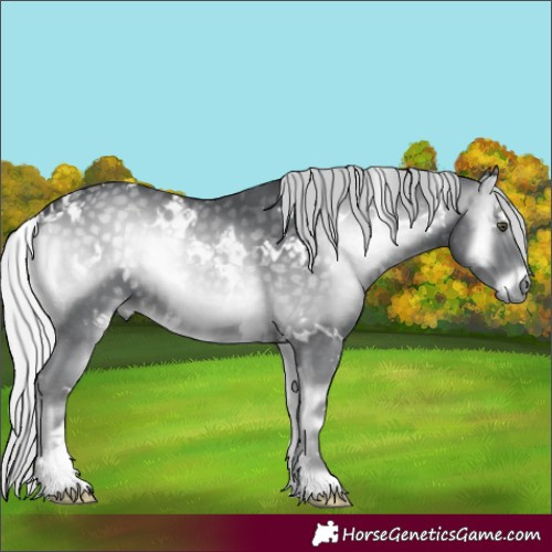 Horse Color:White Spotted Silver Blue Onyx Chinchilla 