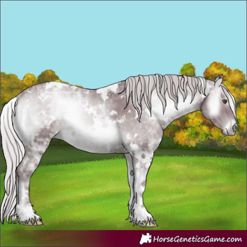 Horse Color:White Spotted Chocolate Silver Blue Onyx Chinchilla Ice 