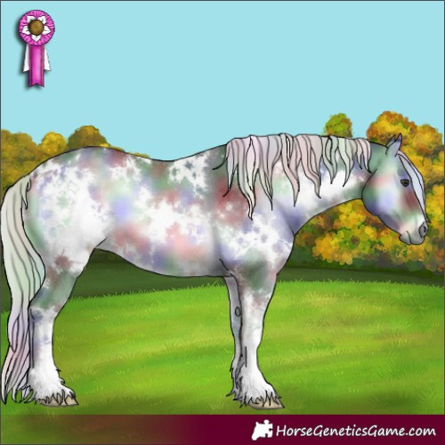 Horse Color:Nacre White Spotted Silver Blue Onyx Chinchilla 