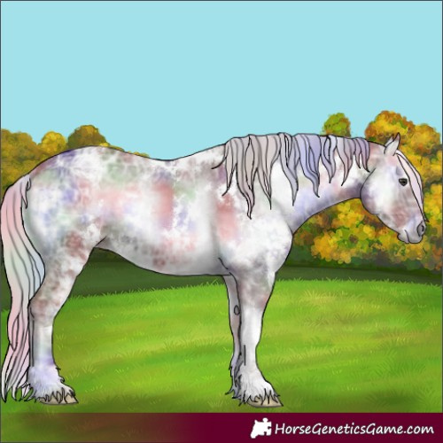 Horse Color:Nacre White Spotted Chocolate Silver Blue Onyx Chinchilla Ice 