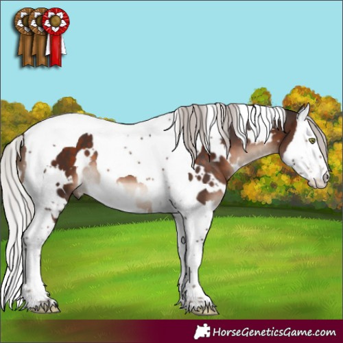 Horse Color:White Spotted Silver Brown Mushroom Splash Tobiano