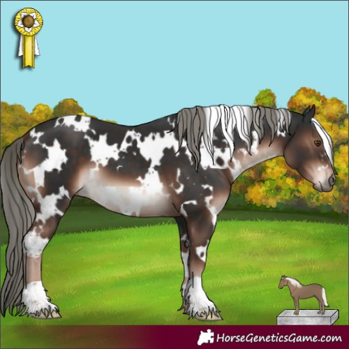 Horse Color:White Spotted Liver Chestnut Mushroom 