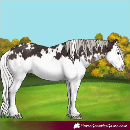 Horse Color:White Spotted Silver Brown Mushroom Splash 