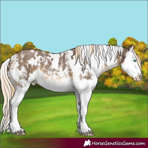 Horse Color:White Spotted Chocolate Palomino Mushroom Sabino Splash 