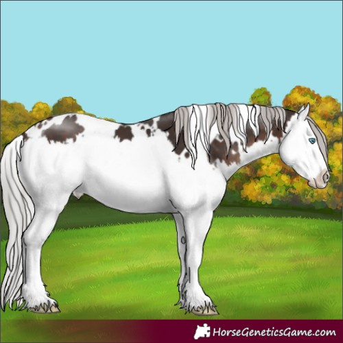 Horse Color:White Spotted Silver Brown Mushroom Splash 