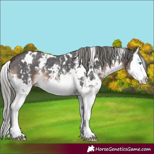 Horse Color:White Spotted Liver Chestnut Mushroom Sabino Splash 