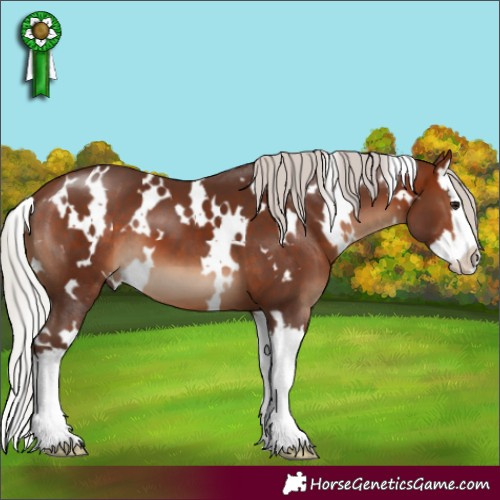 Horse Color:White Spotted Silver Bay Splash 