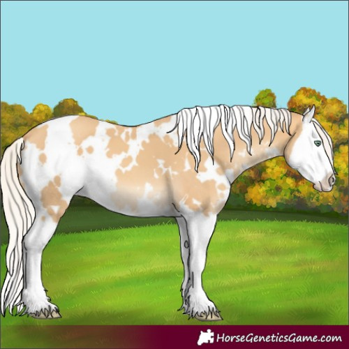 Horse Color:White Spotted Silver Sable Cream Champagne Mushroom Splash 
