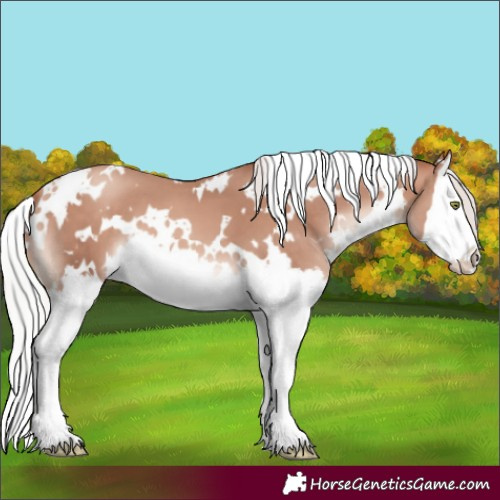 Horse Color:White Spotted Silver Sable Champagne Mushroom Splash 