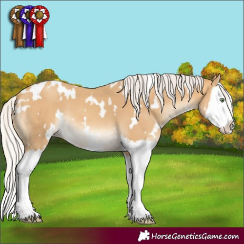 Horse Color:White Spotted Silver Sable Cream Champagne Splash 