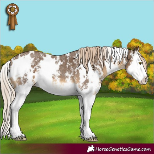 Horse Color:White Spotted Chocolate Palomino Mushroom Sabino Splash 