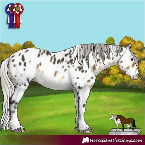 Horse Color:White Spotted Silver Buckskin Appaloosa 