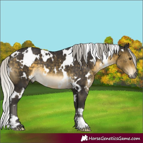 Horse Color:White Spotted Silver Buckskin Mushroom