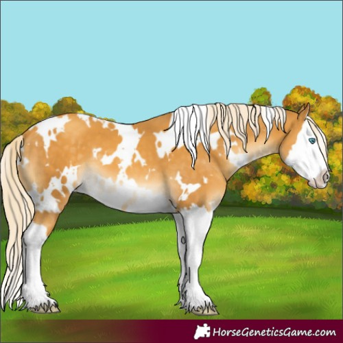 Horse Color:White Spotted Gold Cream Champagne Mushroom Splash 