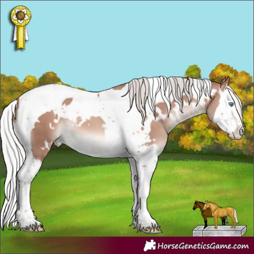 Horse Color:White Spotted Silver Sable Champagne Mushroom Splash Tobiano 