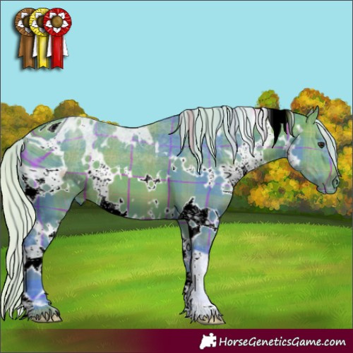 Horse Color:ERROR: UNKNOWN ANOMALY