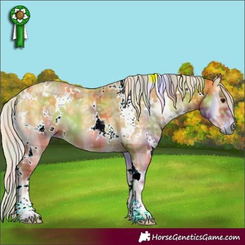Horse Color:Nacre Plaid  White Spotted Chocolate Silver Bay Ice Onyx 
