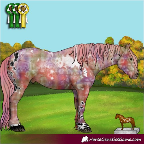 Horse Color:Nacre Plaid  White Spotted Chestnut Ice 