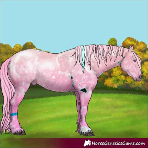 Horse Color:Watercolor White Spotted Chestnut Chinchilla Ice 