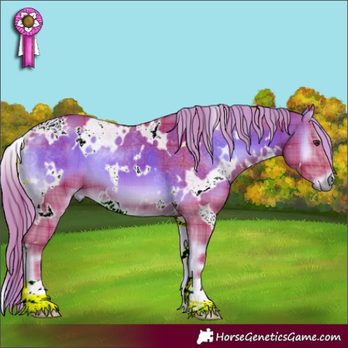 Horse Color:Watercolor Plaid  White Spotted Red Onyx 