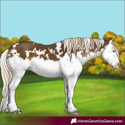 Horse Color:White Spotted Chocolate Palomino Mushroom Splash