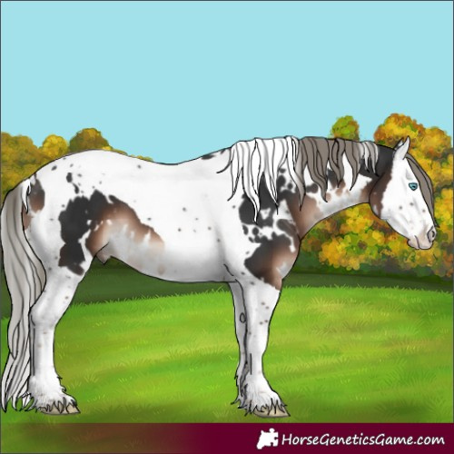 Horse Color:White Spotted Liver Chestnut Mushroom Splash Tobiano 