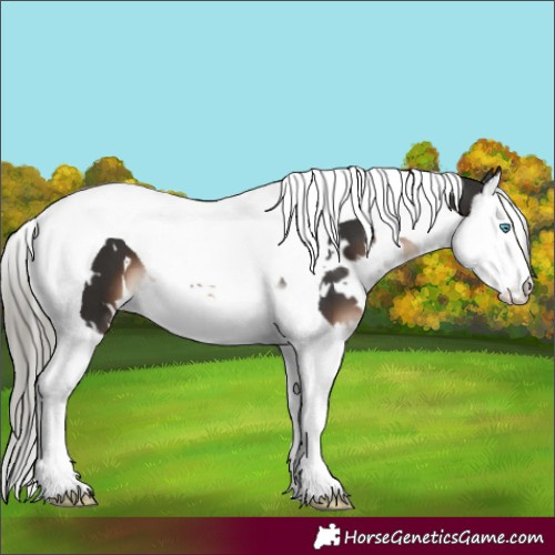Horse Color:White Spotted Liver Chestnut Mushroom Splash Tobiano 