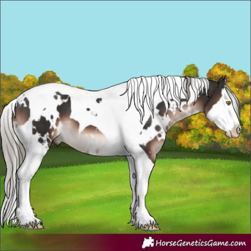 Horse Color:White Spotted Liver Chestnut Mushroom Splash Tobiano 