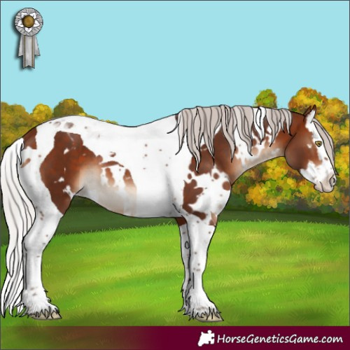 Horse Color:White Spotted Silver Bay Splash Tobiano 