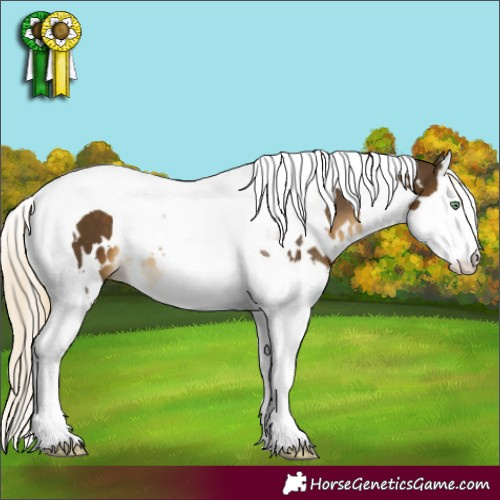 Horse Color:White Spotted Chocolate Palomino Mushroom Splash Tobiano 