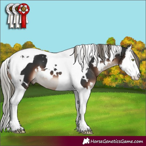Horse Color:White Spotted Liver Chestnut Mushroom Splash Tobiano 