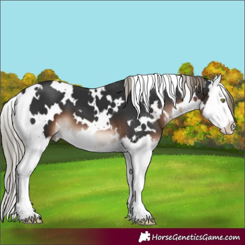 Horse Color:White Spotted Liver Chestnut Mushroom Splash 