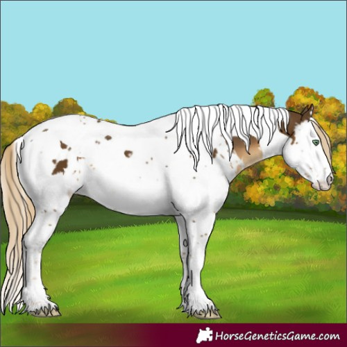 Horse Color:White Spotted Chocolate Palomino Mushroom Splash Tobiano