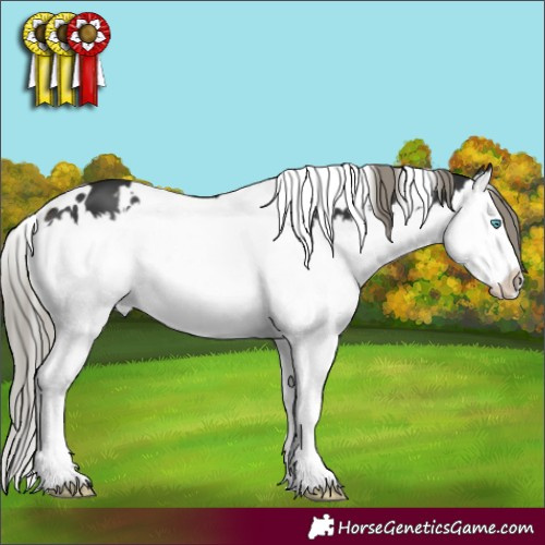 Horse Color:White Spotted Liver Chestnut Mushroom Splash 