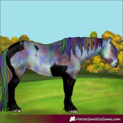 Horse Color:Void Painted Nacre Bay Chinchilla Onyx Tobiano 